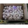 2017 Fresh Garlic / Alho from Jinxiang Liming Food J10