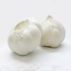 New crop fresh natural pure white garlic