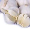 New crop fresh natural pure white garlic