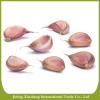 China best quantity fresh red garlic