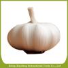 Chinese new fresh garlic red