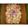 Naturally Grown and can be used for seed Garlic in China