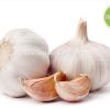 Fresh white garlic wholesale with cheap price and best quality from China