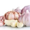 Best quality pure white garlic