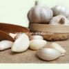 Chinese high quality good farmer garlic wholesale with cheap price