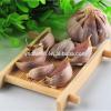 Cheap price fresh white red color garlic from China wholesale