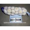 China garlic 1kg bag garlic price