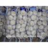 China garlic 1kg bag garlic price