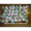 China garlic factory super garlic best price