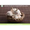 Factory supply high quality fresh Garlic for sale