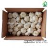 2017 fresh garlic supplier in China(4.5cm,5cm,5.5cm.6cm up)