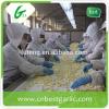 2015 new crop of Peeled garlic Garlic cloves with Top quality