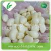 Fresh Peeled Garlic Clove Storing Peeled Garlic