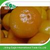 Wholesales price fresh sweet honey baby mandarin orange