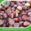 Hot sale high quality bulk sweet fresh chestnuts wholesale