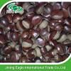 New organic nutritive sweet fresh chestnut wholesale