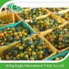 New crop fresh sugar mandarin orange in favorable price