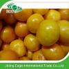 New crop fresh sugar mandarin orange in favorable price