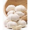 wholesale alibaba normal white garlic price black garlic