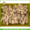 150g Up Whole Fresh Old Ginger