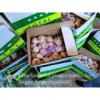 Jinxiang Shandong Fresh Normal White Garlic 5cm Loose Packing in Carton Box