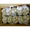 2014 Organic Garlic Package of 500g