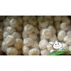 Fresh white garlic/Fresh garlic/Jinxiang Garlic