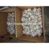 White garlic /White garlic from shandong/White garlic for sale