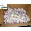 Purple garlic/Fresh garlic/Garlic price per ton from China