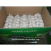 New crop fresh natural white garlic for sale