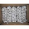 fresh white garlic from China top quality