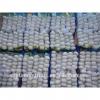 Global GAP CERTIFICATION Chinese fresh white garlic for sale