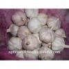 Global GAP CERTIFICATION Chinese fresh white garlic for sale