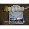 China high quality fresh garlic with competitive price