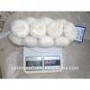 Fresh Natural white garlic in small mesh bag packing