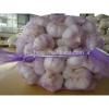 chiniese 2017 new crop fresh white garlic