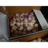 Top quality Chinese Normal White Garlic