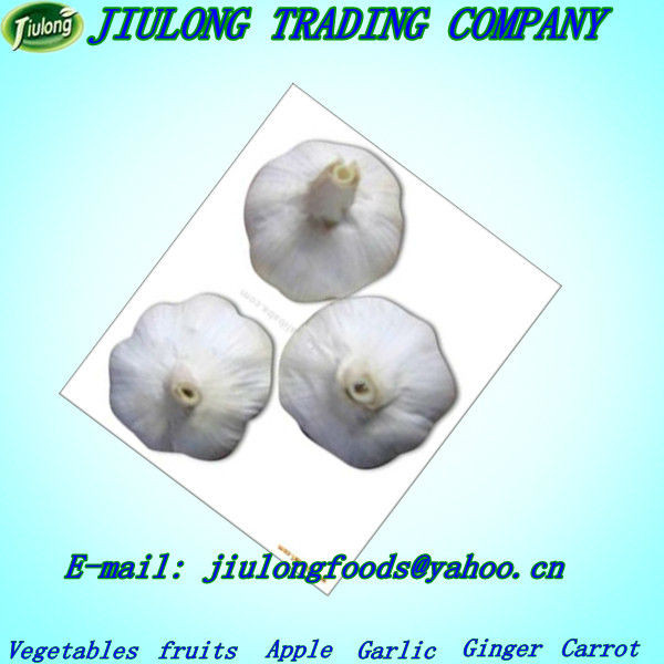 china natural fresh pure white garlic