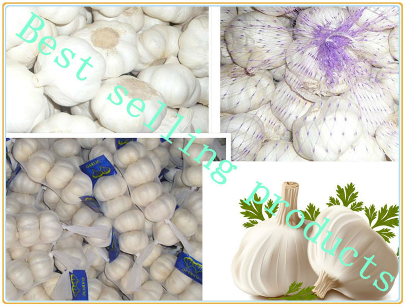 Products exported to dubai garlic