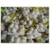 Shandong natural fresh garlic