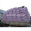 Supply Fresh Garlic with High Quality in Low Price