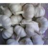 Four Seasons Supplier Wholesale of Fresh Garlic 2017&#39;