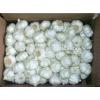 Fresh Jinxiang Garlic in Hot Sale of Competitive Price