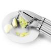 Becko Stainless Steel Garlic Press Solid Ginger Crusher with Cleaning Brush