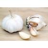 Garlic Cloves - GARLIC ODORLESS 400MG - Improve Your Iron Metabolism 1B