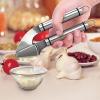 Orblue ORBLUE Propresser Stainless Steel Kitchen Garlic Press