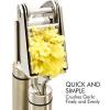 Qlty First Stainless Steel Professional Garlic Press, Crusher Complete Bundle -