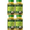 4  ODORLESS GARLIC 1000 MGR. 250 SOFTGELS