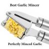 HeyLR Stainless Steel 18/8 Garlic Press Round Handle Crush Garlic Cloves and ...