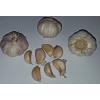 Garlic Seeds  30 cloves